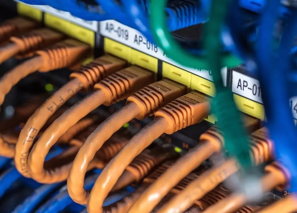 Panel de parcheo con cables de red conectados y etiquetados